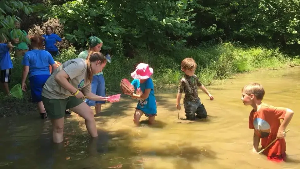 Children and an adult explore a shallow, sunny creek using nets and sticks. Lush greenery surrounds them, creating a playful, adventurous atmosphere.