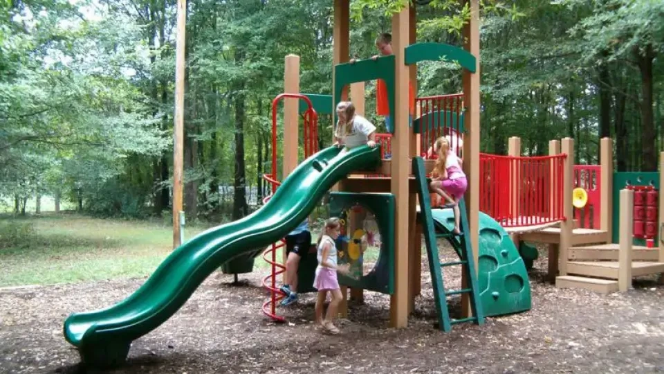 Children play joyfully on a vibrant playground set in a lush green forest. One child slides down a green slide, while others climb and explore.
