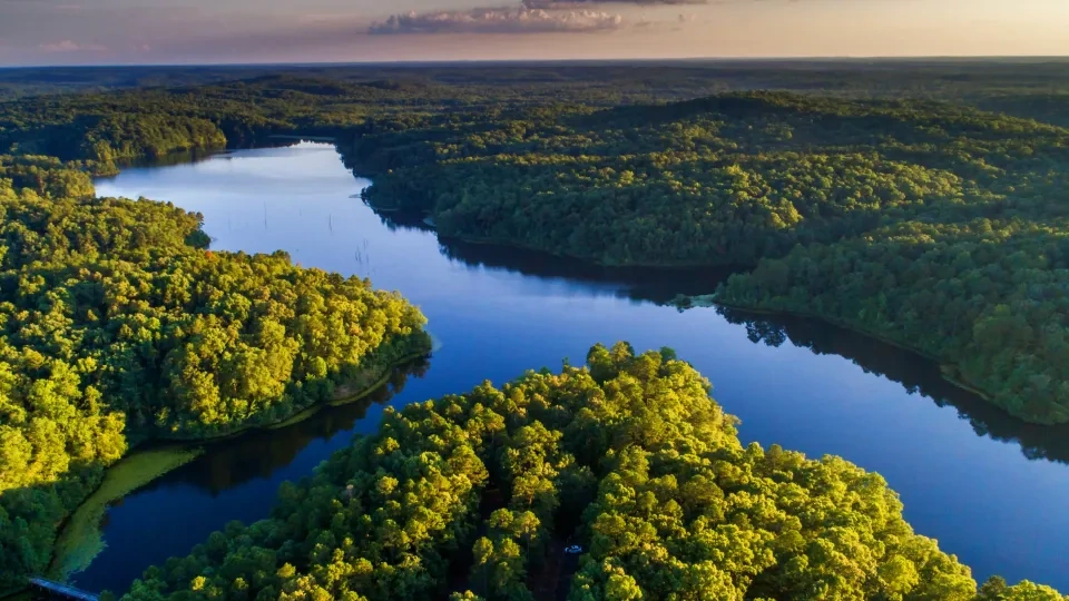 Aerial view of a lush green forest surrounding a serene, winding river under a clear sky. Sunlight casts warm tones, enhancing the tranquil atmosphere.