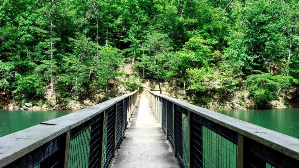Bridge over water, leading to lush green forest under a blue sky.