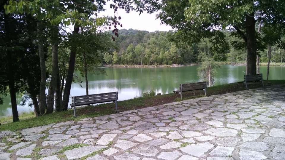 A serene lake view with three empty wooden benches facing the water. Stone pavement in the foreground, surrounded by lush green trees. Peaceful atmosphere.