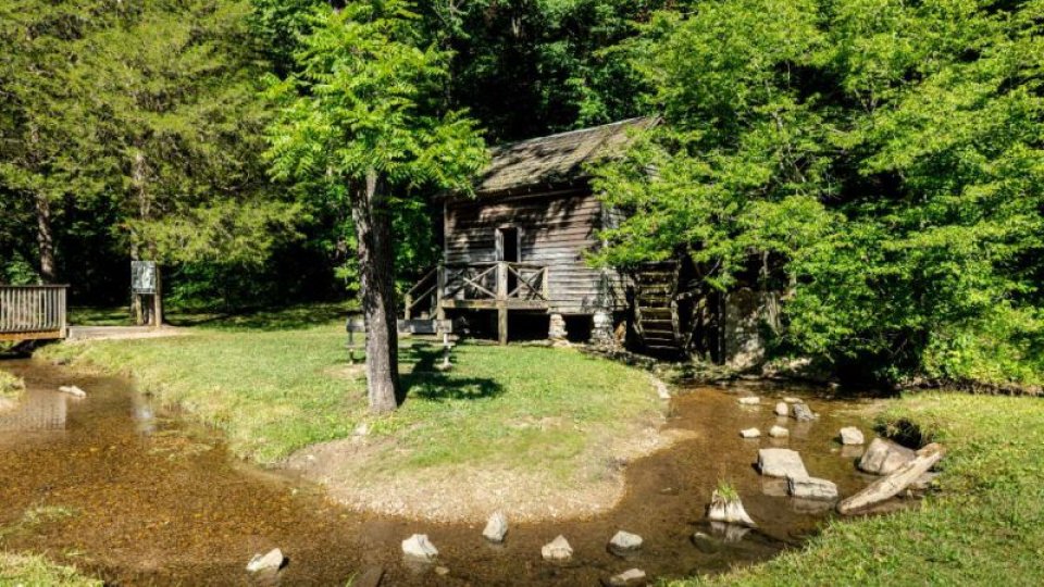 A rustic wooden cabin by a small creek, surrounded by lush green trees under bright sunlight, creating a peaceful and serene outdoor setting.
