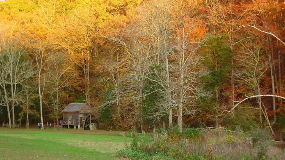 A rustic wooden cabin sits amid vibrant autumn trees with orange leaves. Nearby, a few people stand on a green field, evoking a peaceful, pastoral scene.