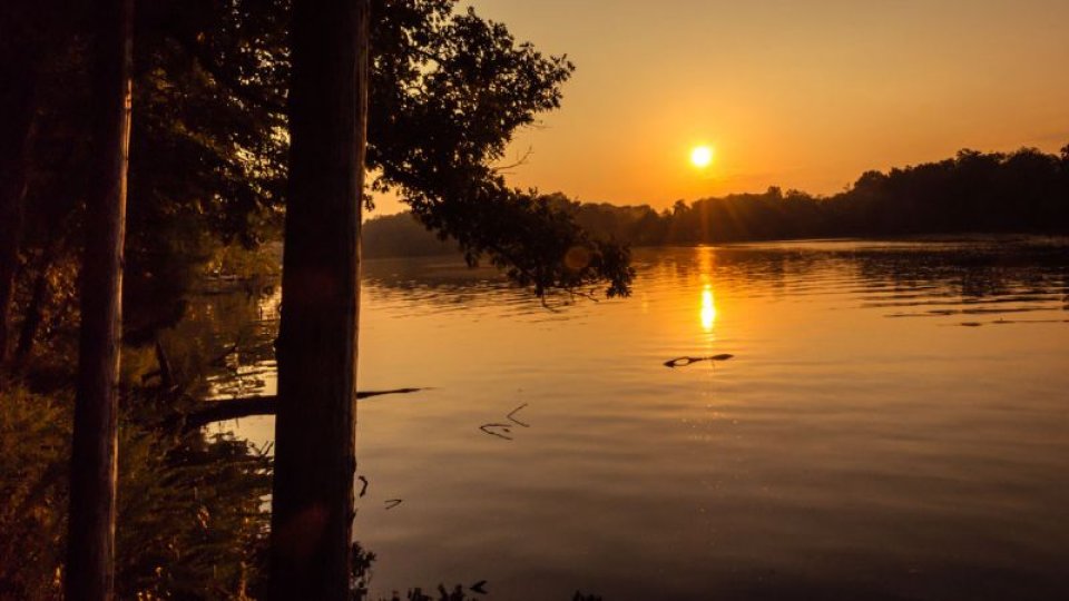 A sunset's reflection off the lake is framed by the dark silholette's of several trees. 