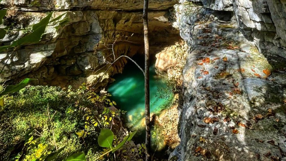hidden swimming hole with clear blue waters slightly shaded by tres