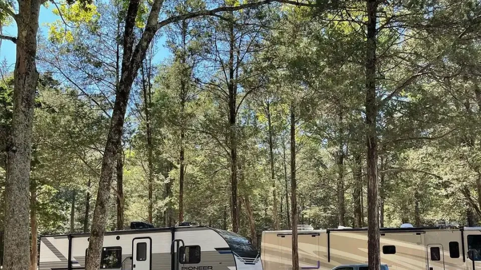 Campsite with cleared space and a picnic table.