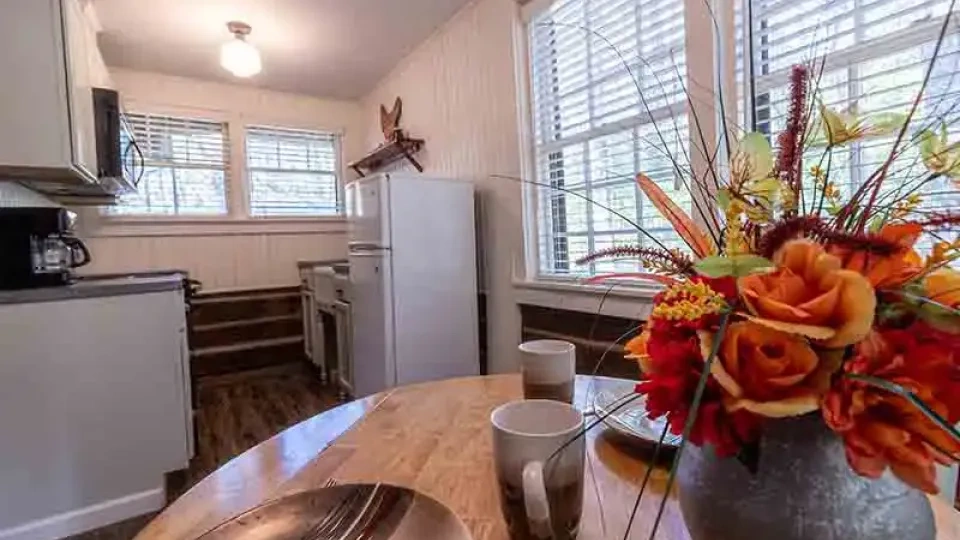 Cabin kitchen with cabinets, sink, and appliances neatly arranged.