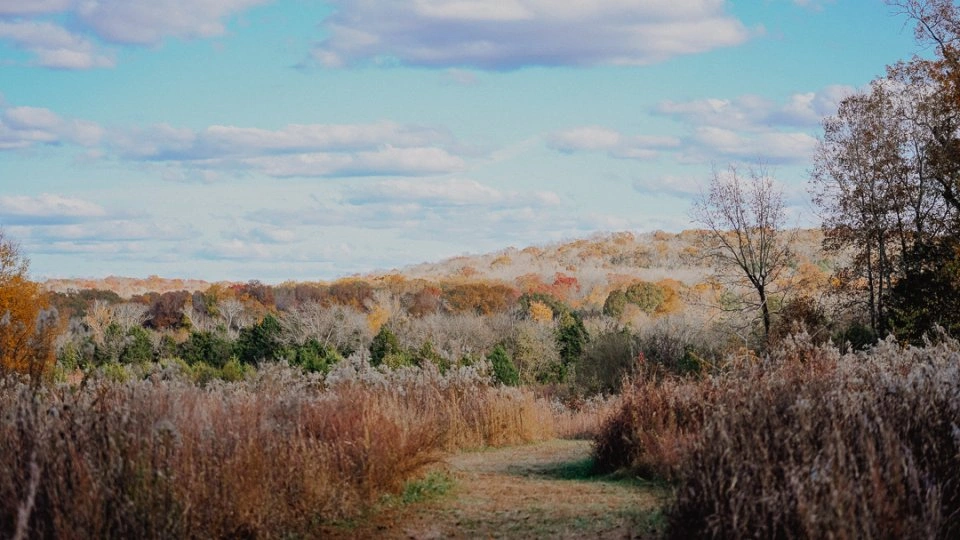 Path through autumn fields under a blue sky with clouds.