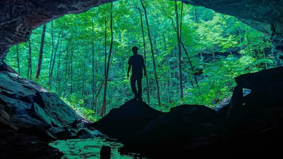 Silhouette of person in cave entrance with forest outside.
