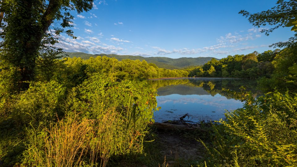 Lush green forest reflecting in a calm lake under a clear blue sky.