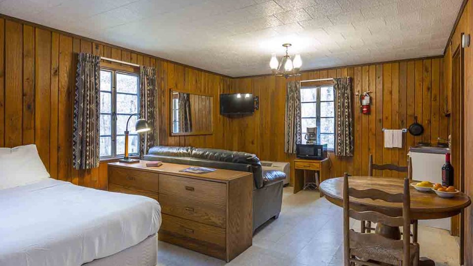 Wooden room with one bed, a dresser, table, couch, microwave, lamp, chandelier, and television mounted in the corner