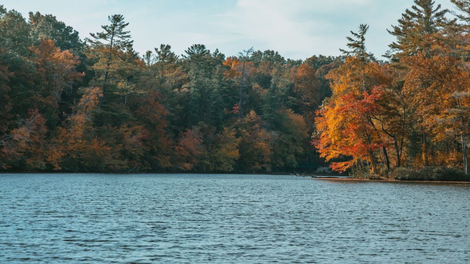 A calm lake bordered by dense forest with trees displaying vibrant fall colors of red, orange, and yellow under a blue sky.