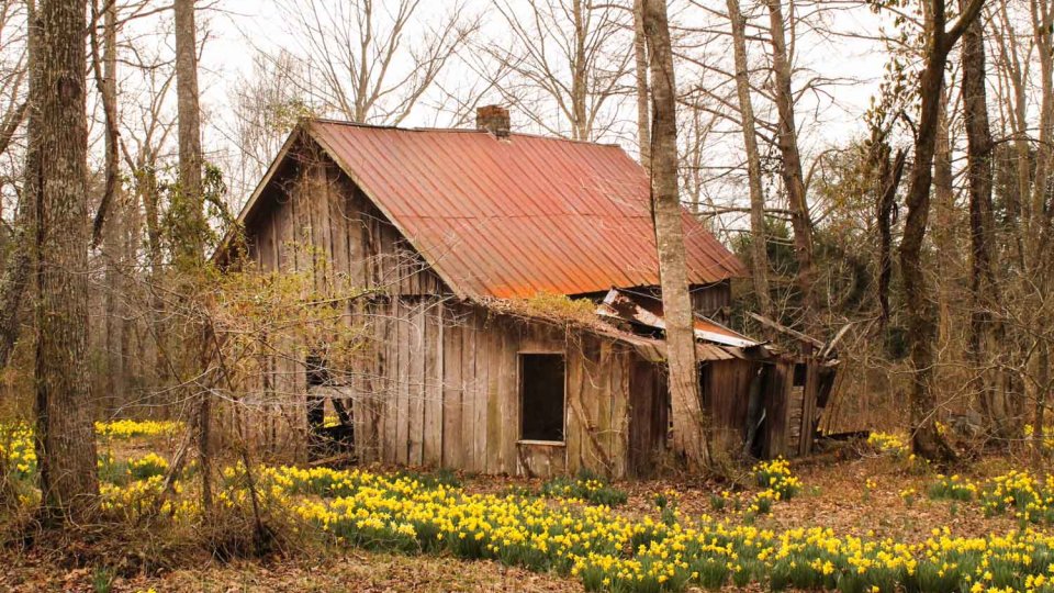 barn in the woods