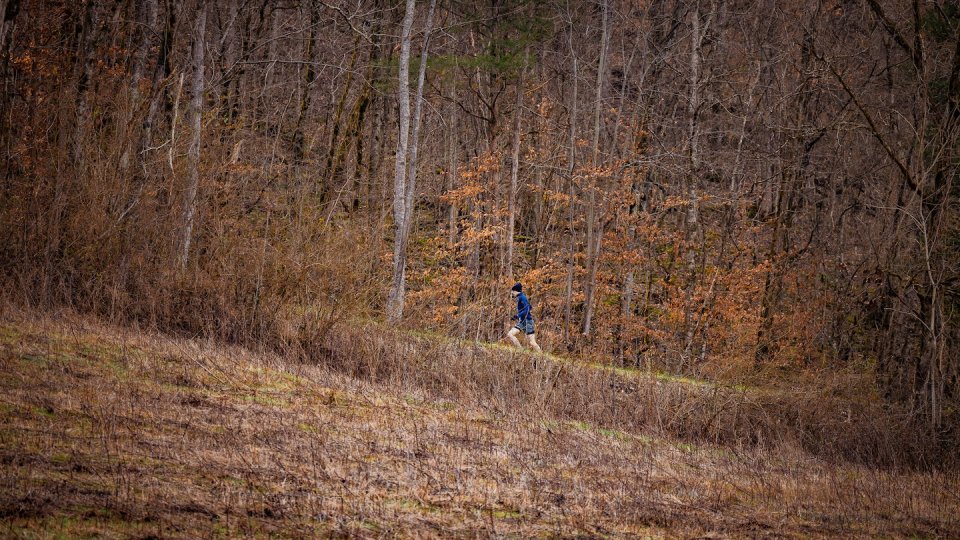 person hiking during fall