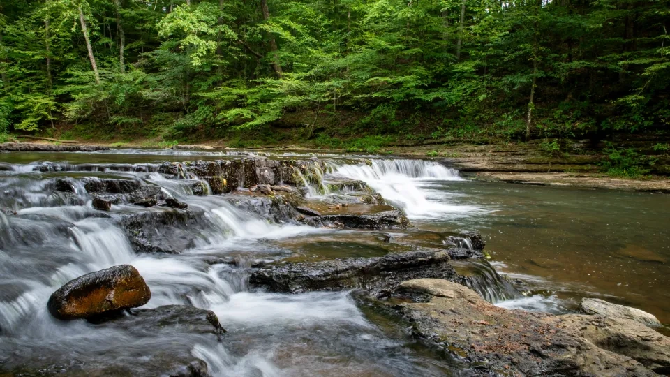 Cascading waterfall over layered rocks in a lush green forest.