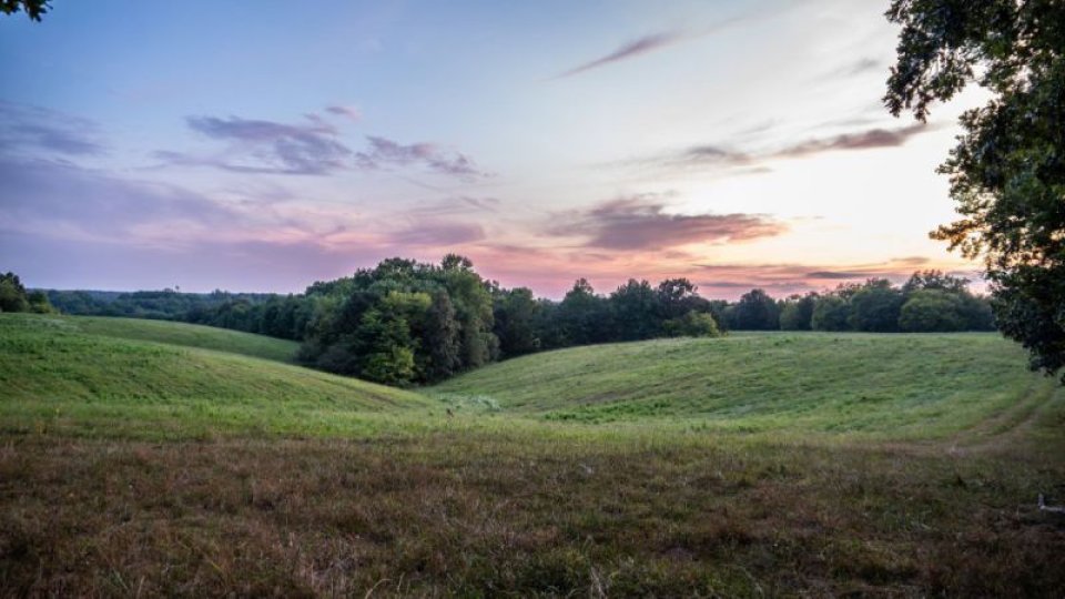 sunset in field