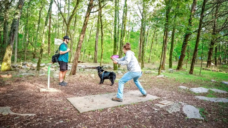 Person throws frisbee in a sunny forest, with a dog and another person watching.