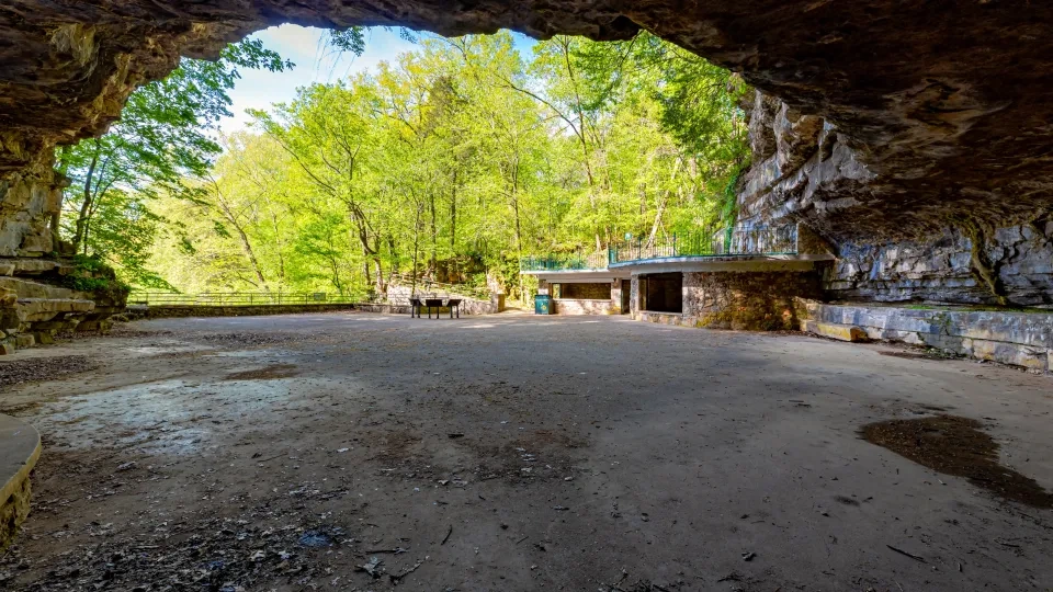 Cave foyer with rock walls, trees in the background, sunny day.
