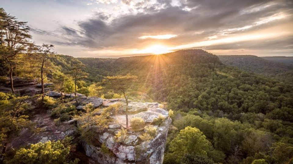 Sunset over a lush green forest viewed from a rocky cliff. The warm glow casts long shadows, creating a serene and majestic landscape.