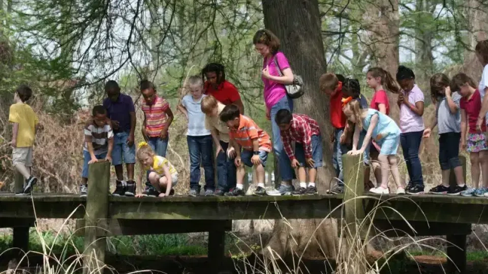 Kids and a woman observe nature from a wooden bridge in a park.