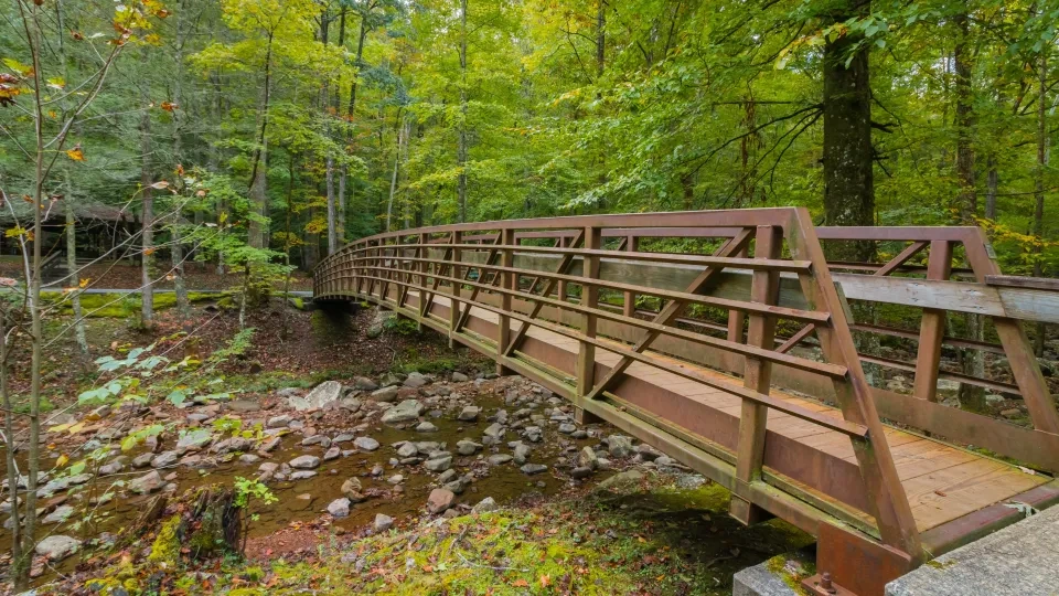 A wooden footbridge spans a rocky creek in a lush forest, with vibrant green leaves suggesting early autumn. The scene feels serene and inviting.