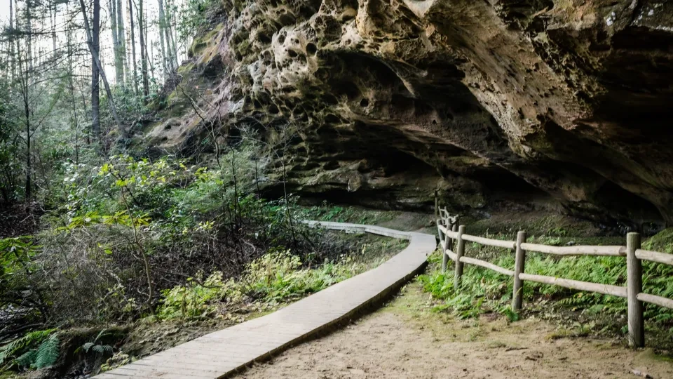Curving wooden path leads through dense forest to a rugged rock overhang, with a rustic fence on the right. The scene feels serene and inviting.