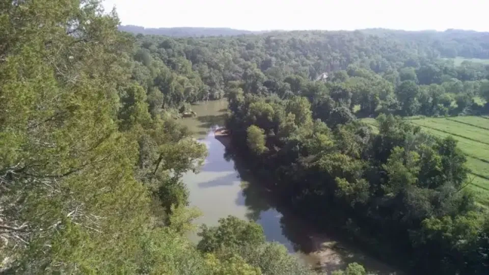 Aerial view of a winding river surrounded by lush green forests and hills under a clear sky, evoking a serene and tranquil natural setting.