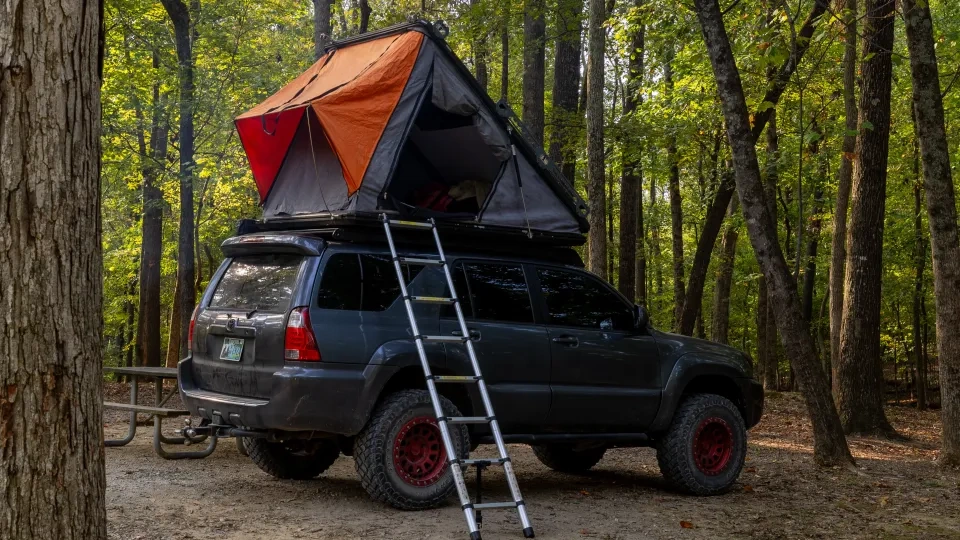 Blue vehicle parked in a forest with a ladder leading to a tent that's on top