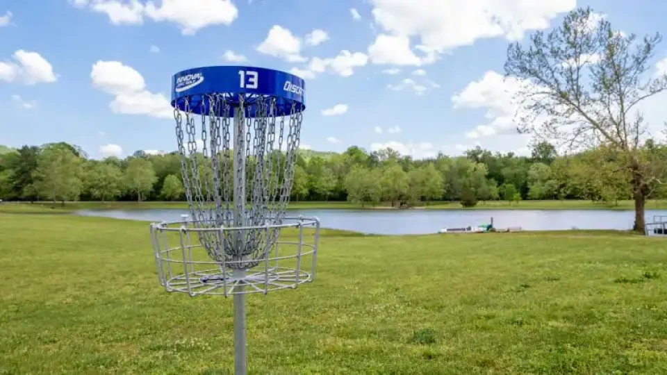 Disc golf basket in a grassy park near a pond, surrounded by trees.