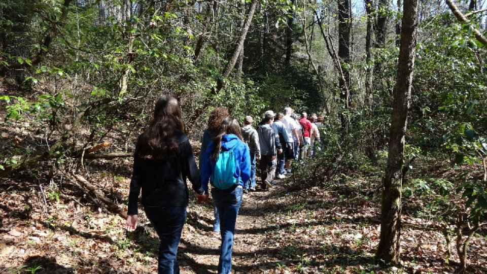A group of people hike along a forest trail surrounded by tall trees and greenery