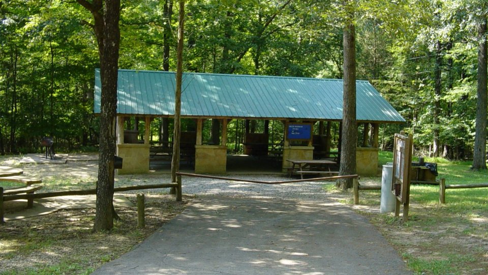 A scenic park pavilion with a green metal roof stands amid a forest. 