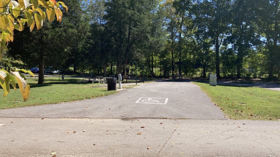 Accessible parking space in a sunny park, surrounded by green grass and tall trees