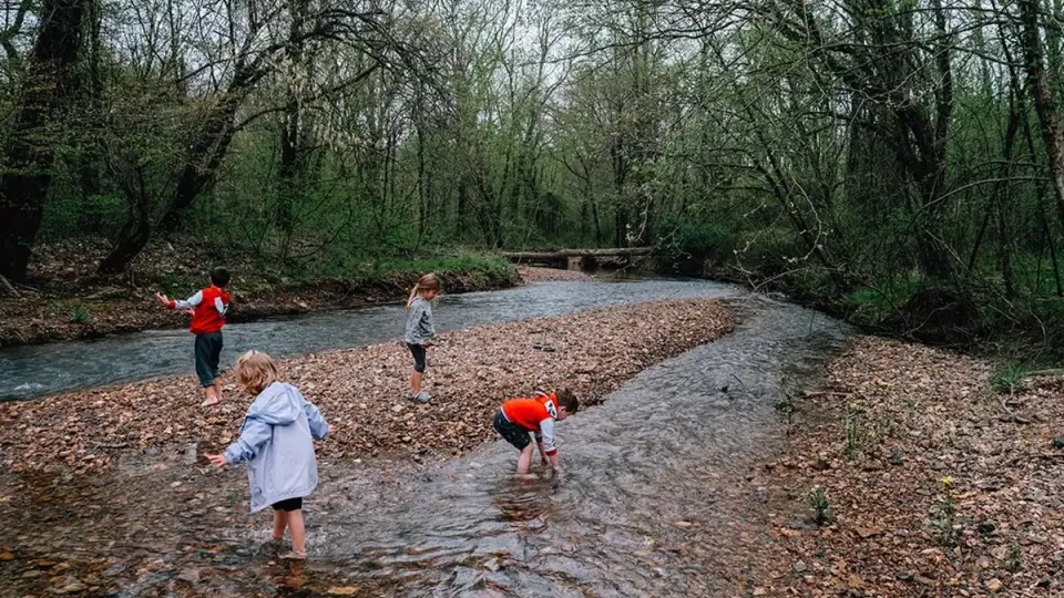 Four children play in a shallow, rocky stream in a forest, exploring the water and shoreline.