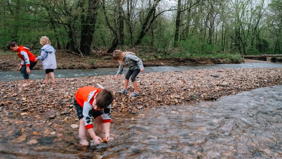 Four children play barefoot and explore along a rocky creek bed, some crouching to look at stones in the shallow water.