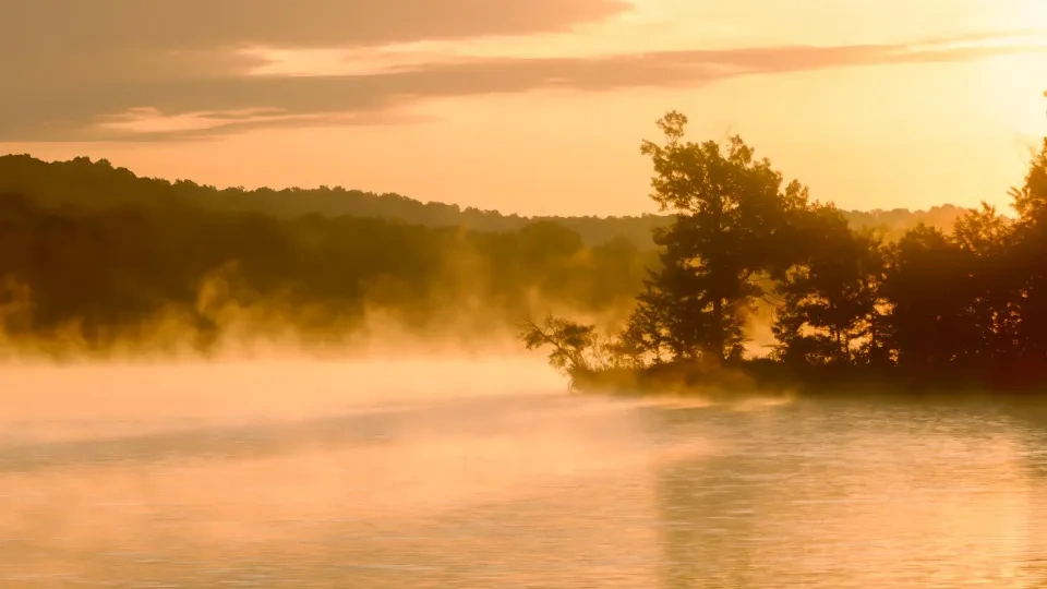 A glowing sunrise over a misty lake, with silhouetted trees along the shoreline.