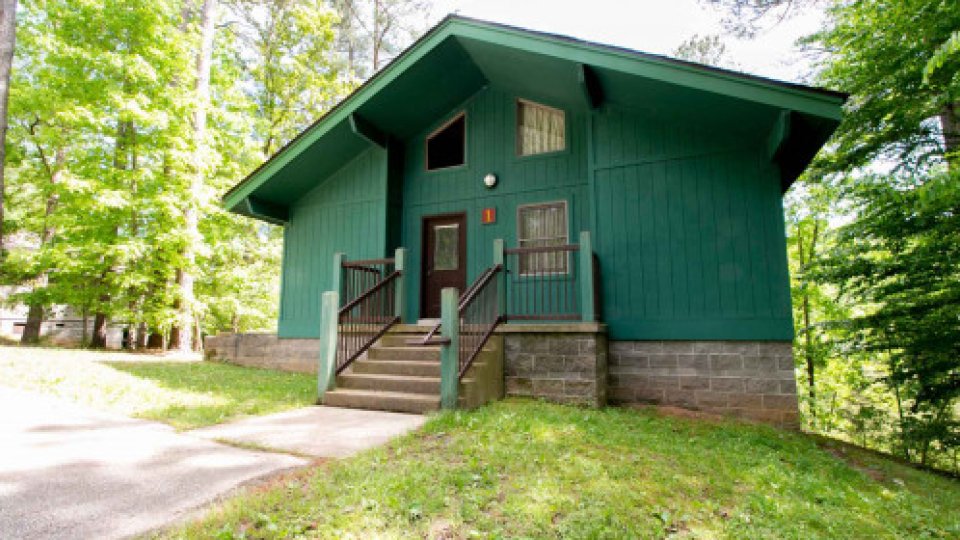 green cabin in the woods during spring
