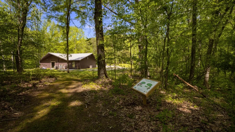 Forest trail leading to a cabin with a sign surrounded by green trees.