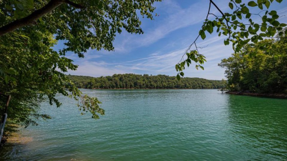 A tranquil lake on a sunny day, surrounded by dense green trees. The calm, blue water reflects the sky, evoking a peaceful and serene atmosphere.