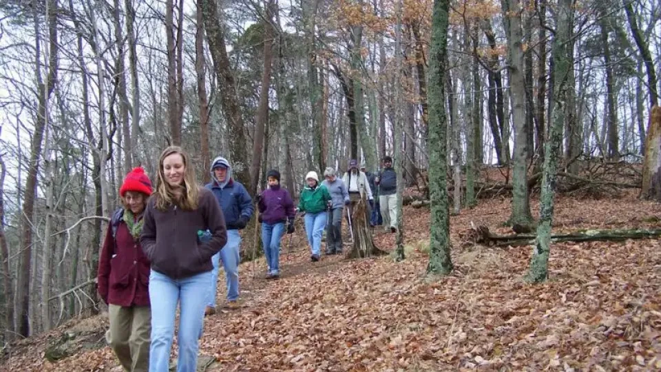 A group of people hiking on a leaf-covered forest trail in autumn.