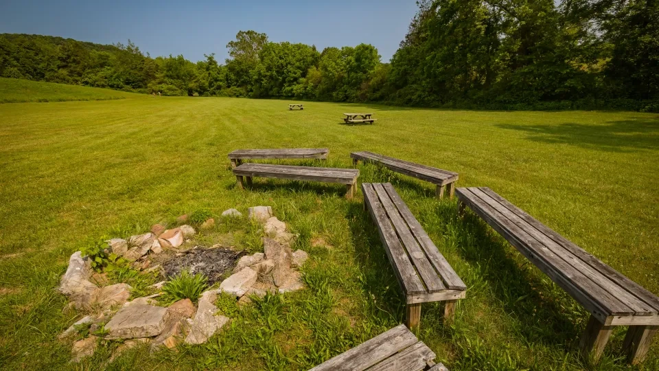 Campfire area with wooden benches on grassy field, surrounded by trees.