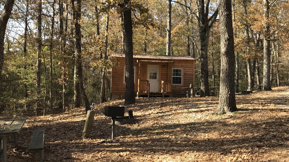 wooden camping cabin surrounded by trees with grill
