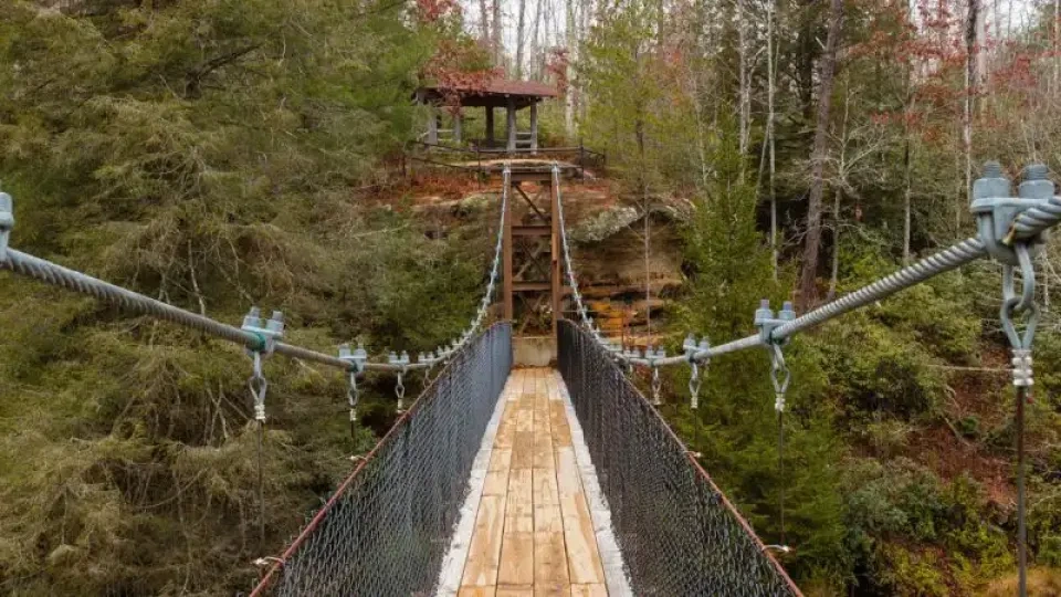 Suspension bridge leading to a forest, with a wooden shelter ahead.