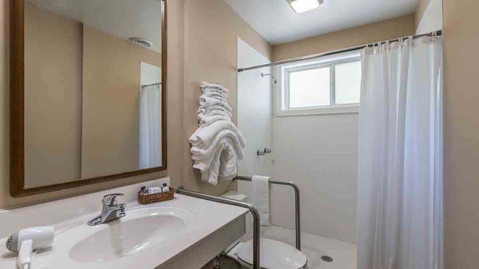 Bathroom with shower tub, sink with counter space, mirror, towels, hair dryer, and hand rails around toilet