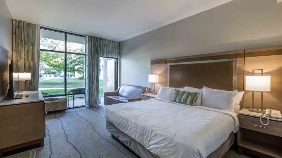Modern hotel room with a large bed, sofa, and window overlooking greenery.