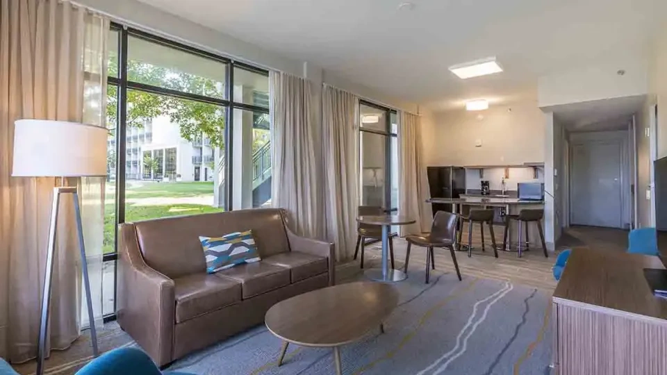 Modern living room with brown sofa, colorful pillow, and large windows.