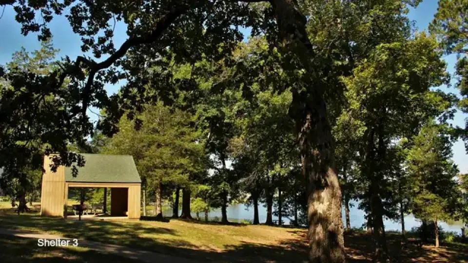 Small pavilion amid tall trees with sunlight filtering through.