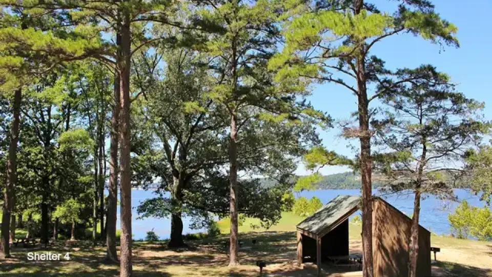 Cabin among trees near a lake under a clear blue sky.