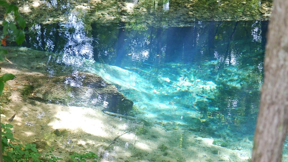 Red Clay blue hole. Water is crystal cleaqr and appears bright blue surrounded by greenery