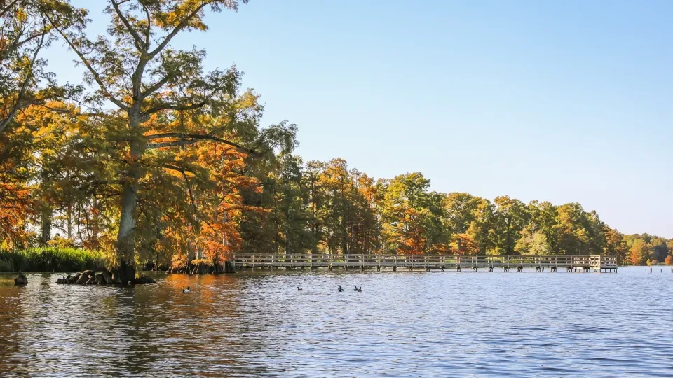 Lake with autumn trees and a wooden dock, under a clear blue sky.
