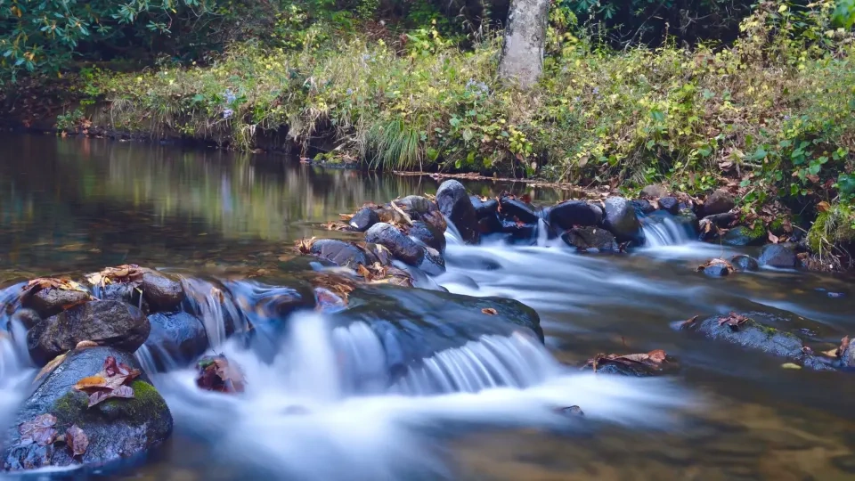 Flowing stream with rocks and autumn leaves in a forest setting.